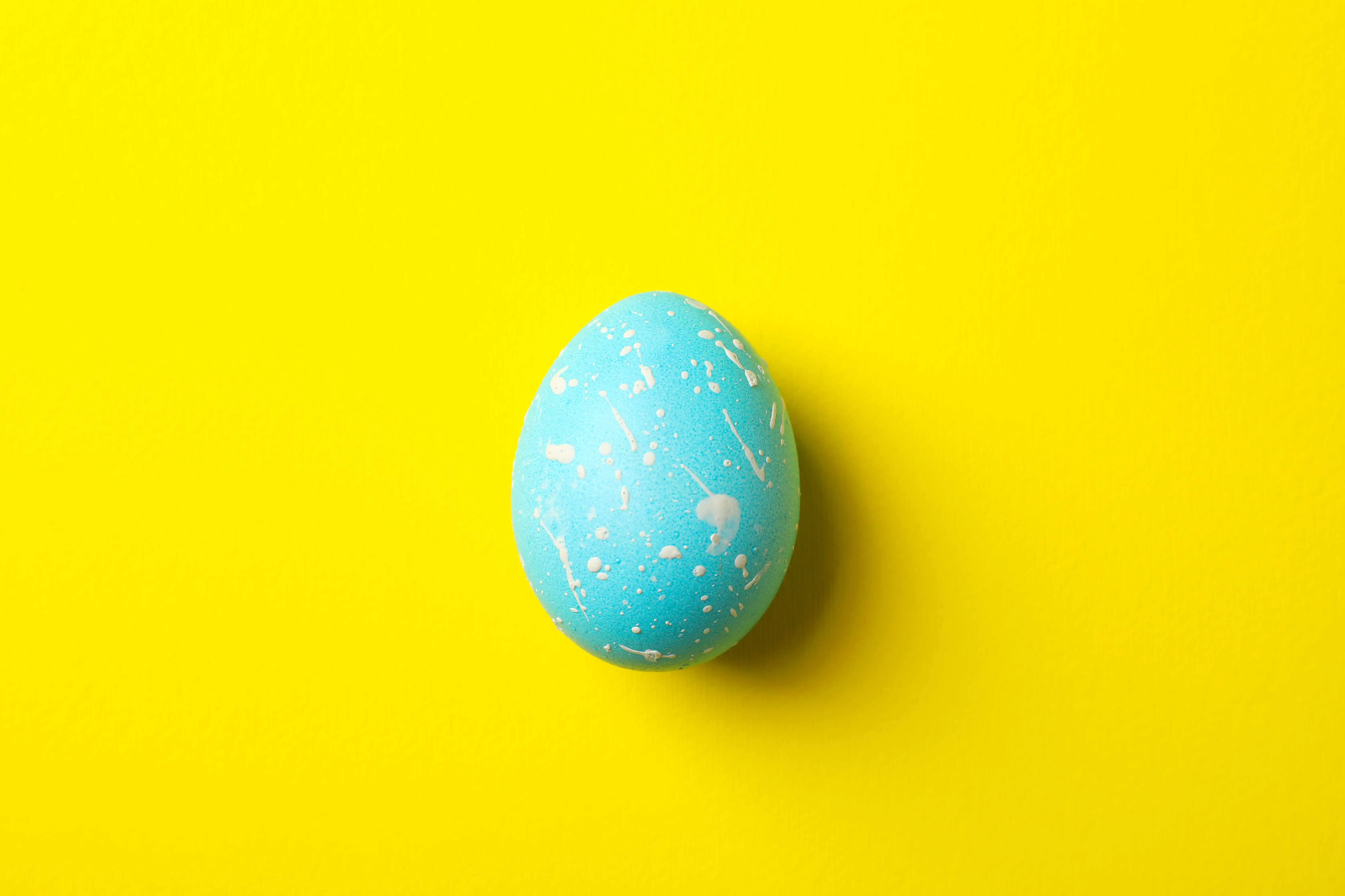 egg
